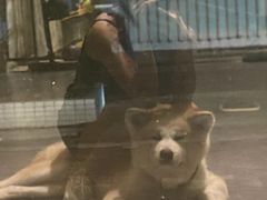 -YCHL Studios健身工作室(市二宫店)