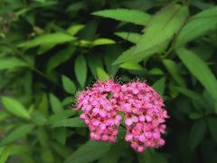 -白塘生态植物园