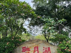 -映月湖公园