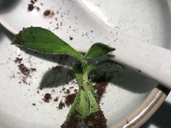 盆栽土豆泥-嘉禾·悦享餐厅(八方汇店)