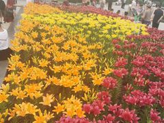 -长春公园(普阳街道)