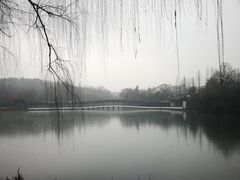 -西湖游船