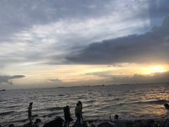 -宝安西湾红树林湿地公园