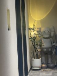 -玛莲朵·海菲秀冰珀科