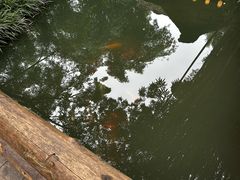 -成都ins星空塔酒店(春熙路天府广场店)