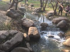 -新洲生态园