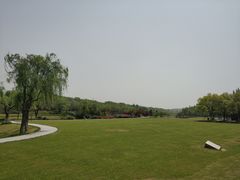 -宜兴龙背山森林公园