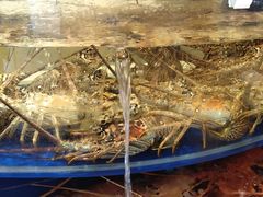 -海景壹号大酒店(滨湖店)