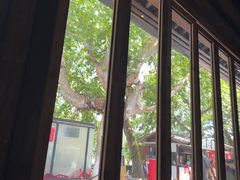 -院子餐厅·大锅菜·老杭帮(桥西直街店)