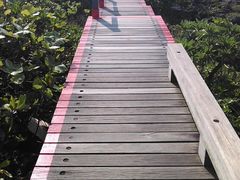 -鹅銮鼻公园