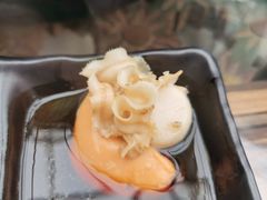 扇贝-丽江庭院之爱在路上(西单店)