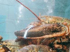 -老街渔味馆(芳华店)