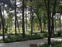 android_upload_pic-长影旧址博物馆