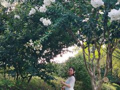 -杭州城北体育公园