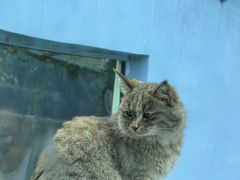 -青藏高原野生动物园
