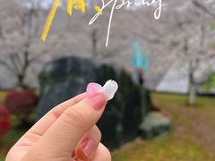 -武汉大学-樱园