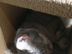 -小时光咖啡馆(开森度假森林店)