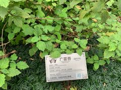 -广州神农草堂中医药博物馆