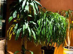 -隐炉和牛烧肉店(群力店)