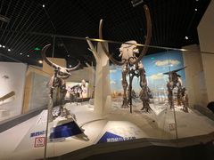 -国家自然博物馆