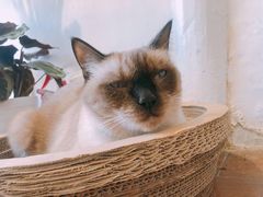 -About Bistro關於·泰式家庭料理