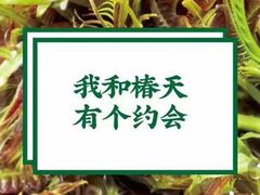 -吉祥馄饨(虹桥火车站店)