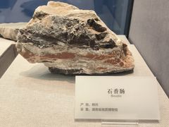 -湖南省地质博物馆