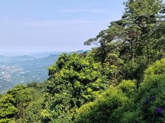-广州市石门国家森林公园