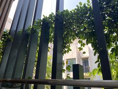 -星湖特色餐厅· 三岔湖环球融创天堂洲际酒店