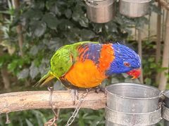 -南宫五洲植物乐园