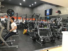 -健身专家Wellness Experts