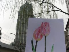 -八哥美术·成人美术画室(总校区)