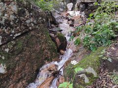 -驼梁风景区