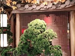 -重庆德庄火锅(映月湖环宇城店)