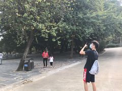 -南沙天后宫景区