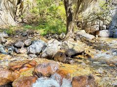 -小五台金河景区