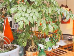 -粥公粥婆精品家常菜(青龙桥店)