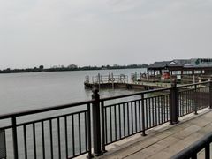 -溱湖国家湿地公园