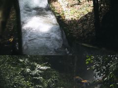 -清泉湾生态旅游度假区