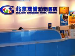 -北京观赏动物医院·24小时大型综合·猫专科·异宠专科