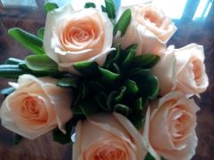 android_upload_pic-静岸花卉园艺(三星坊店)