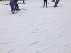 -亚布力新体委滑雪场