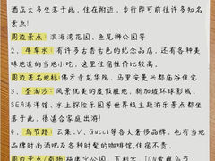 -圣淘沙天际线斜坡滑车