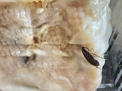 -白玉兰传统小吃