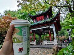 -茶颜悦色(岳麓山顶店)
