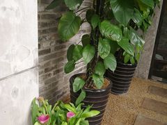 -上楼私房菜(院士路店)