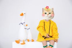-初·印象孕妇儿童摄影馆