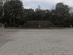 -洱海月湿地公园
