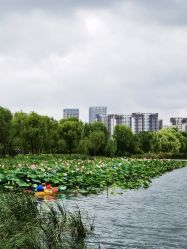 -剑鱼皮划艇俱乐部(石湖基地)