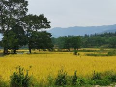 -塔川景区